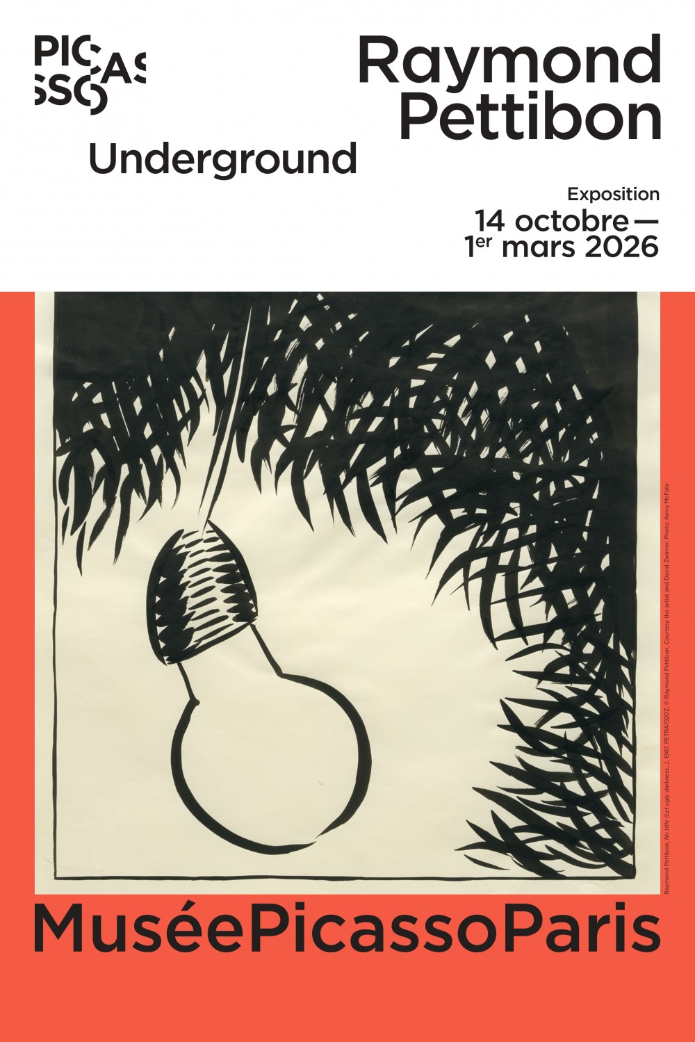 Exposition Collections privées affiche expo Raymond Pettibon